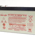 Enersys battery