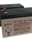 Enersys battery