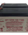 Enersys battery
