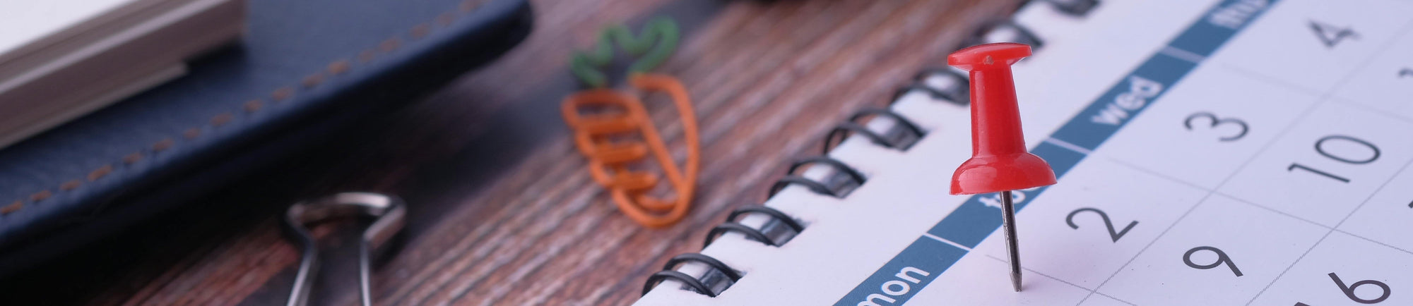 Planning IT Infrastructure Growth for the 2026 New Year!